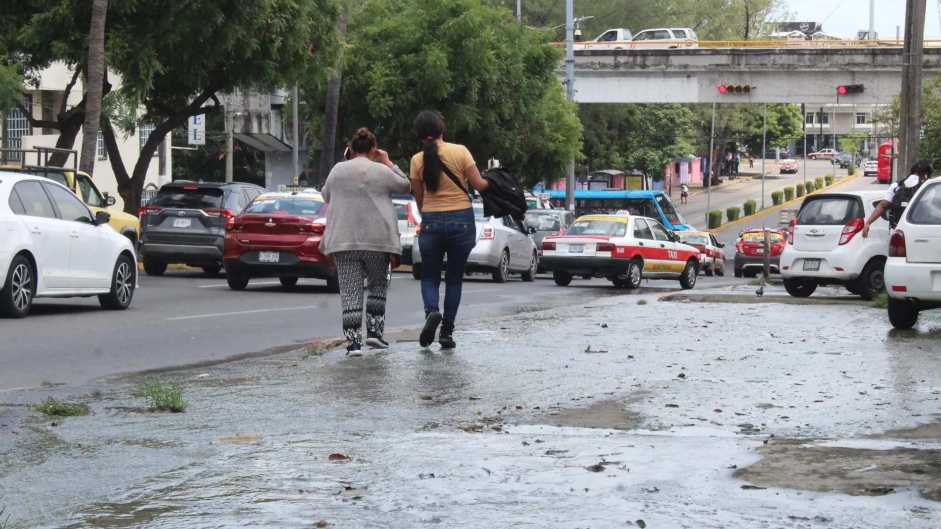 Fuga de aguas negras en Veracruz